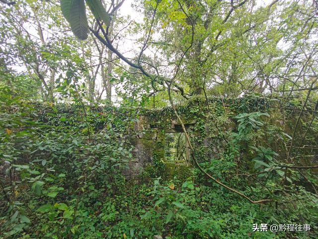 探寻龙眼山古寺遗址，一次最为艰难的野外探险之旅
