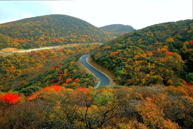 央视点赞的旺苍红叶有多绝？这些亮眼特色，承包你整个秋天的浪漫