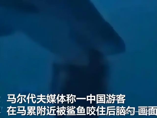 从伤口到视频，中国游客马尔代夫遇险，谁在导演“玩命式创作”