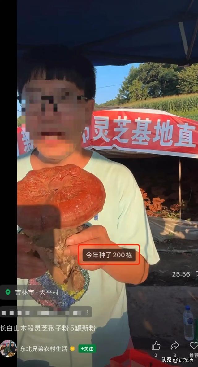 又一东北网红塌房！证据摆脸前还嘴硬不承认，当地人都跟着受牵连
