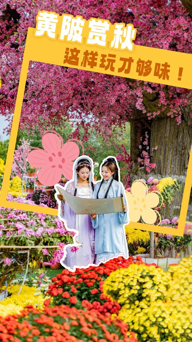黄陂赏秋,这样玩才够味!