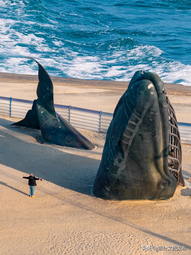 【乐游烟台】冬季的烟台真的是反向旅行的绝佳目的地！