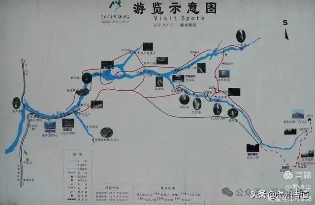 远上乌岩岭上斜,白云生处白云尖!温州这处秋日美景值得一去!