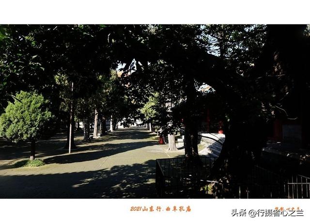 山东行游影记（219）—曲阜孔庙（十四）