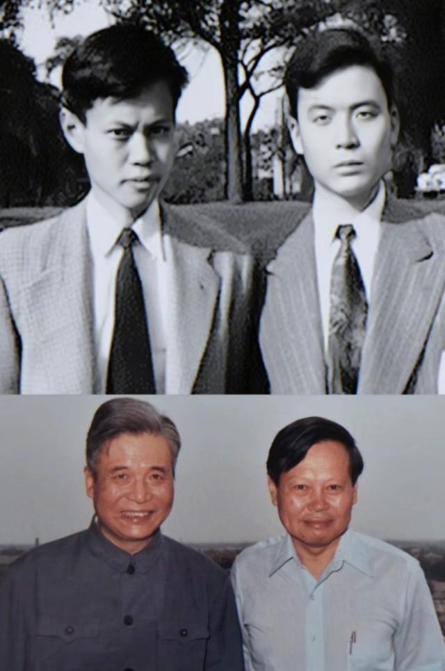 杨振宁葬礼结束，盖国旗完成夙愿不到24小时，恶心一幕就出现了！