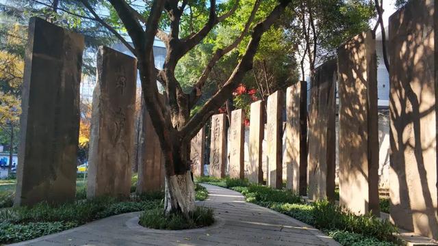 重庆闹市中竟隐藏庞大石碑林，数量众多历史悠久，却很少有人知道