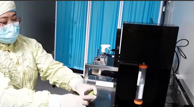 从300到4只！神舟二十一号选拔，小鼠过五关斩六将