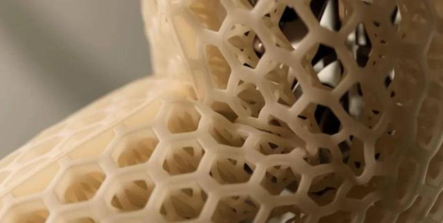 真·首个进家的人形机器人来了！两万美元，开启预定