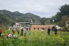 公务员、出嫁女能否享有农村集体经济组织成员资格？专家这样解读新法……图片