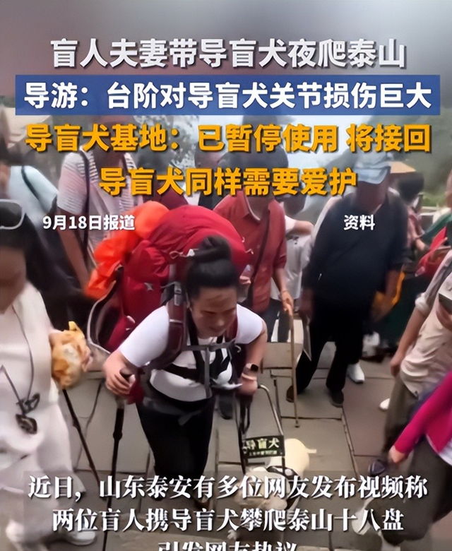 爬泰山的作死夫妻被制裁！导盲犬被收回，身份被扒，家里还有一只