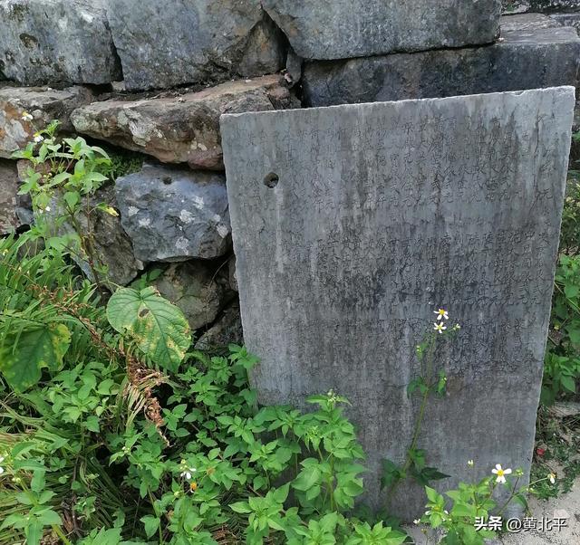 广西南宁市隆安县布泉乡山村有伏波将军后裔，并且还出一位大人物
