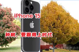种树要跟上时代：iPhone都已到第15代，你还在种30年前的老品种？图片