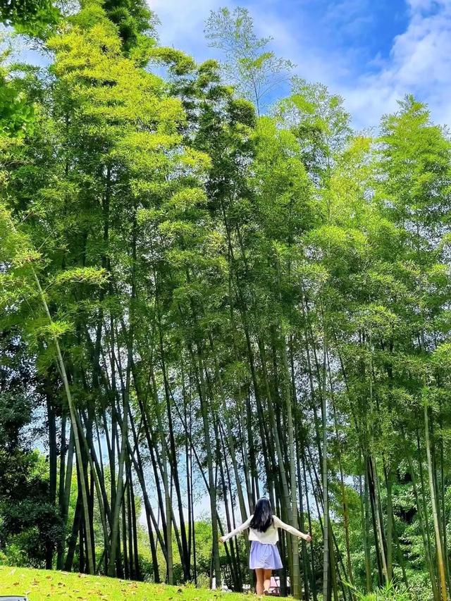 雨过天晴!成都蓝撞上森系青,美出新高度!