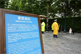 “迪士尼出台新政打击商贩”是真的吗？真打击，非新政图片