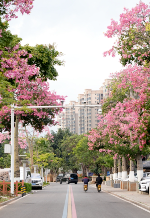 比西昌人少，比昆明更近！高铁直达20℃小众春城，赏花摘果泡温泉！3元草莓吃到撑~