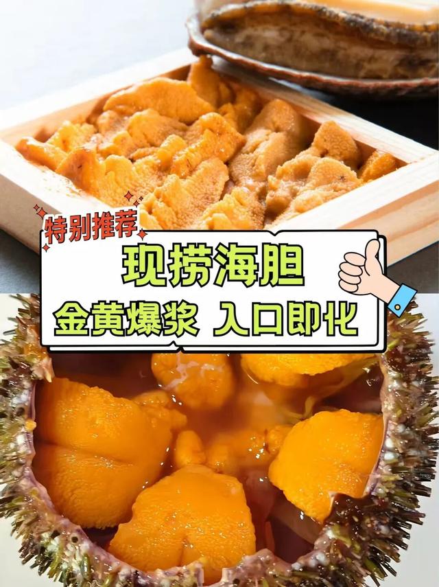 🎵汽水音乐节登陆大连金石滩！超全出行+住宿+玩乐+美食攻略来了！