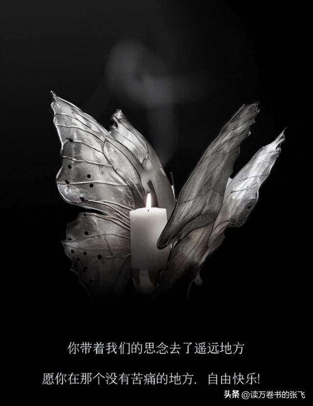 一路走好！继送走大S后	，解晓东因抢救无效去世，曾摔伤重度昏迷