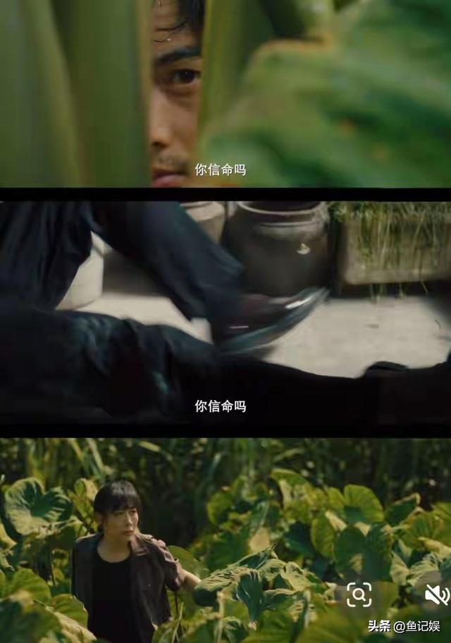 爱奇艺 腾讯 优酷杀疯了！4部悬疑剧高能对决, 最后一部堪称年度王炸