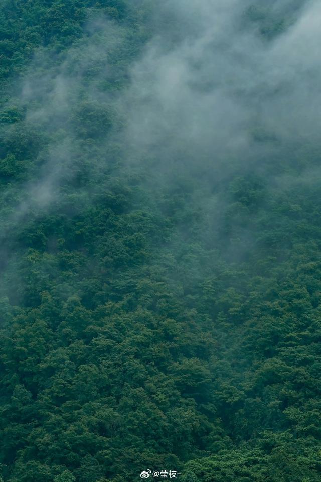 云雾是群山的呼吸#旷野# ​