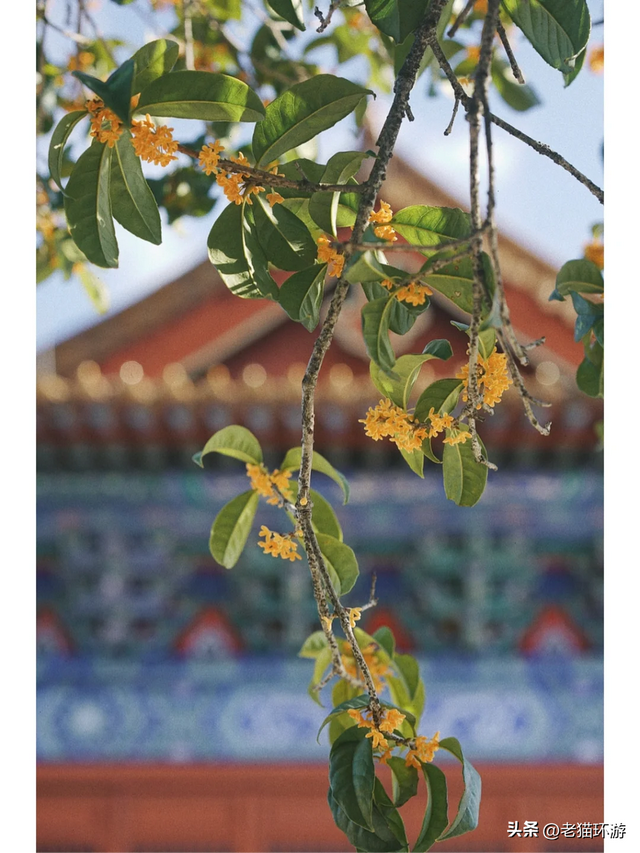 被苏杭压了太多年！绍兴：明明是江南最有味道的老城，却藏得太深