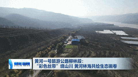 黄河一号旅游公路柳林段：“彩色丝带”绕山川 黄河林海共绘生态画卷
