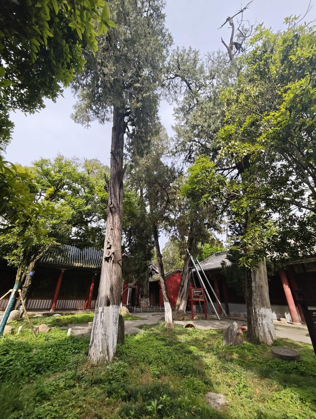 汉中留坝南郑勉县三日游