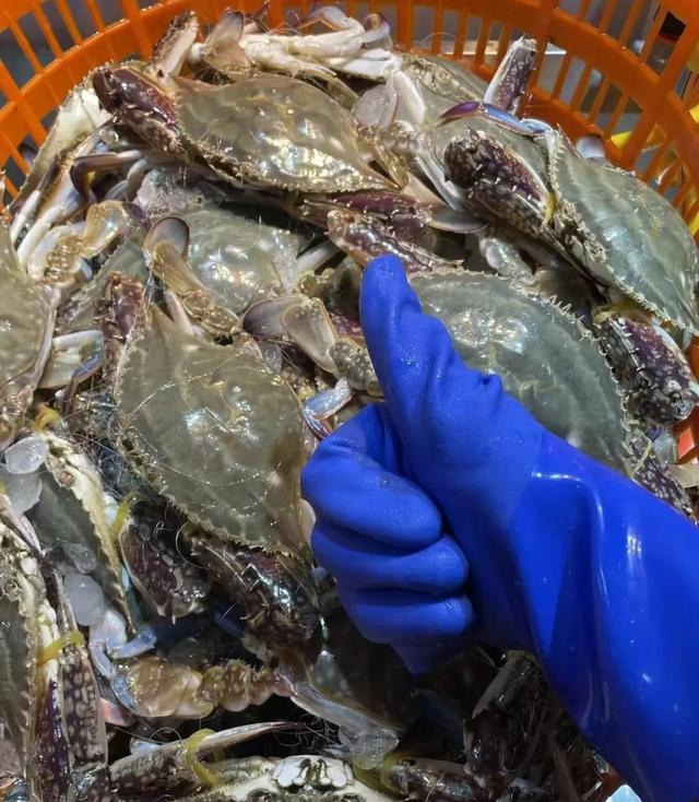 中国哪里的梭子蟹最好吃？经过评比，这8个地方上榜，有你家乡吗