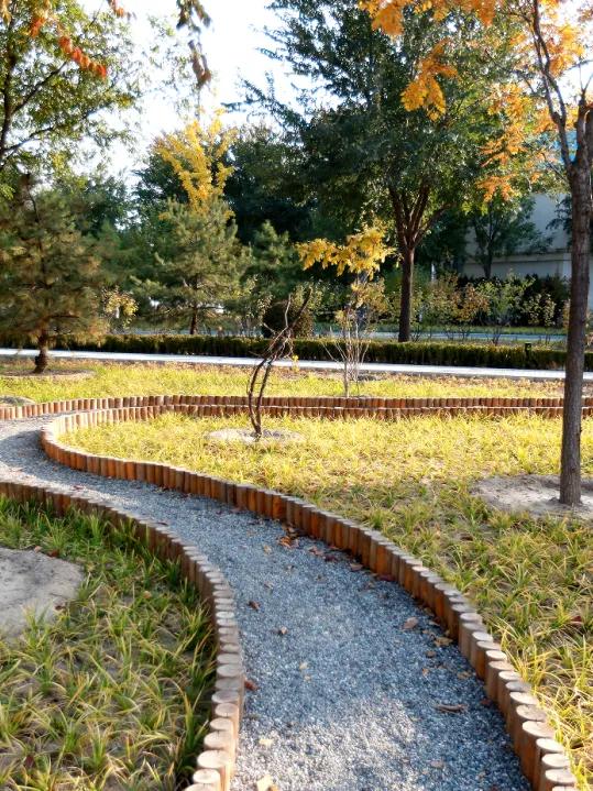 丰台的公园又双叒叕上新啦！