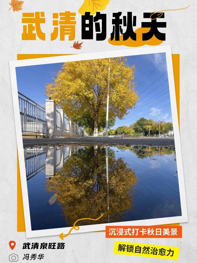 嗨，你的秋天留住了吗？