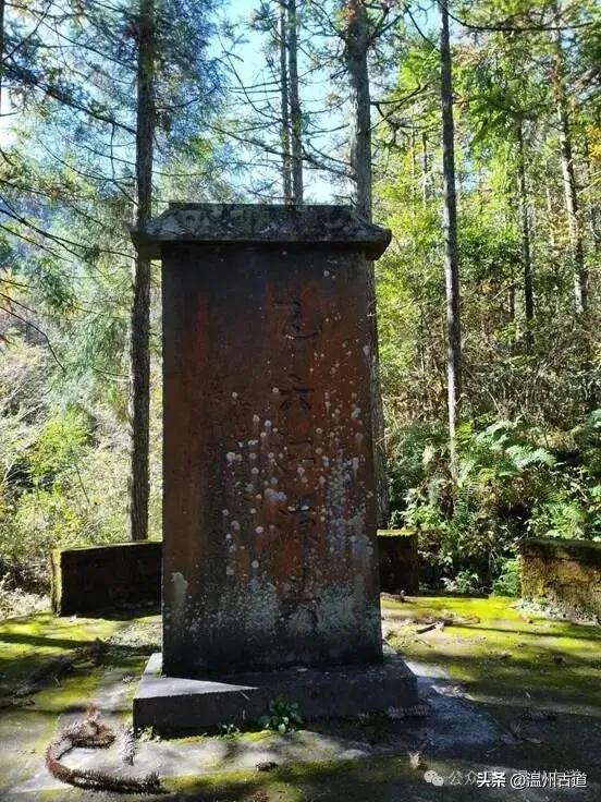 泰顺二日行，解锁浙南山水里的诗意秘境和古村风情！值得推荐分享