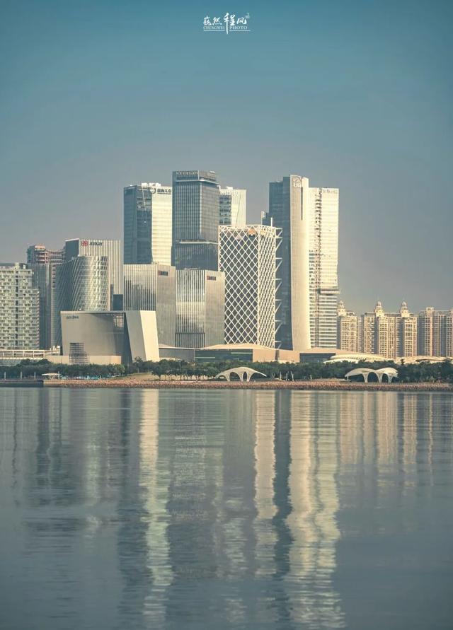 漫步前海：邂逅花海、踏浪听风，在摩天轮下收藏一城浪漫