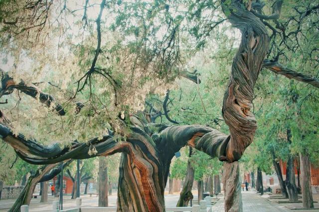 高铁直达！我猜每一个来这的人都需要这份攻略...