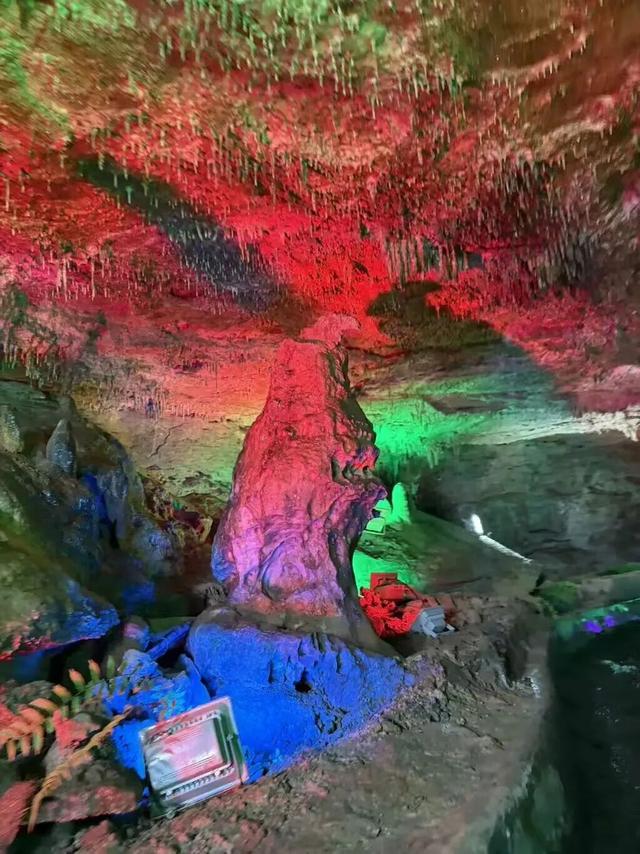 放春假・上春山 | 临沂景区宠粉「第四波」中小学生专享超多福利