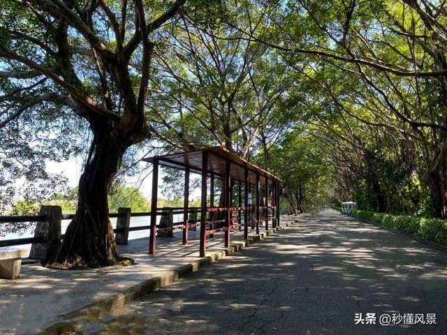 广州最大的公园，相当于7.7个越秀公园，环境好，遛娃拍照好去处