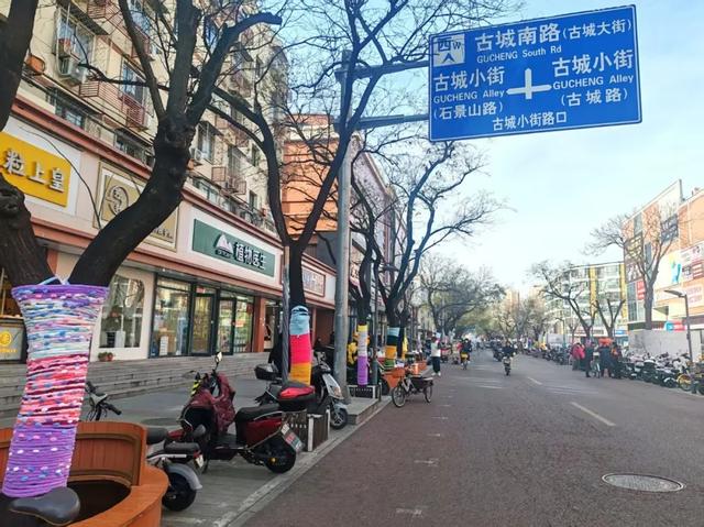 毛线织就小暖衣，石景山这里的树秒变萌系选手