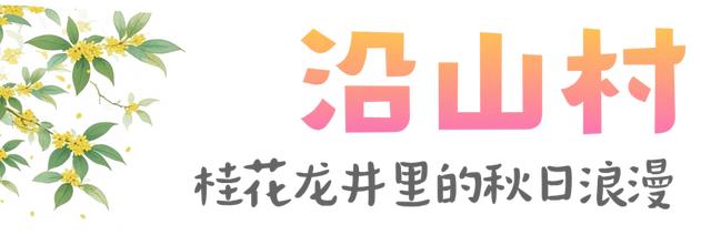 沿山品茶、皋城寻桃！上城两个宝藏村在“魔都”圈粉无数