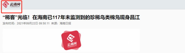 消失117年，2021年，在海南发现一只世界上最小的鸭子