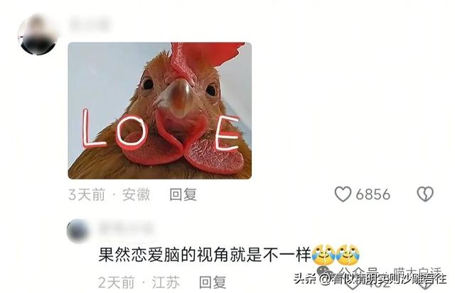 开心一笑 但求一赞❤️