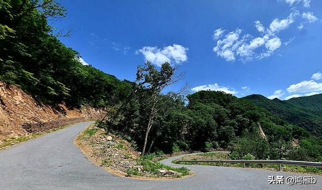 漫话九十年代前的关门山那时还是一座林场一切都是原生态