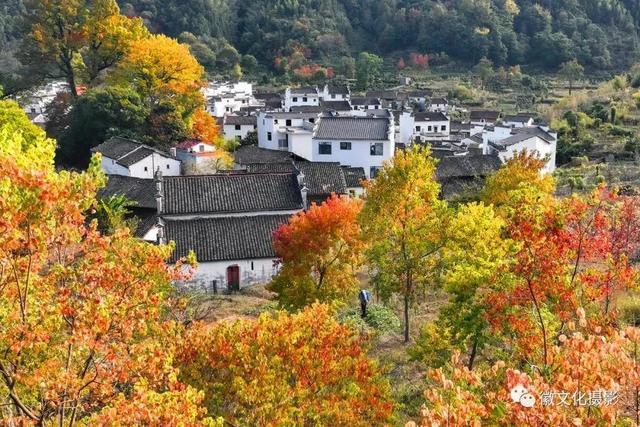 秋染徽州:一场穿越千年的色彩盛宴