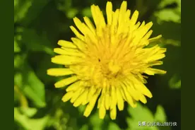 交往最大的智慧、就是不要跟任何人靠得太近，认知觉醒，强者思维图片