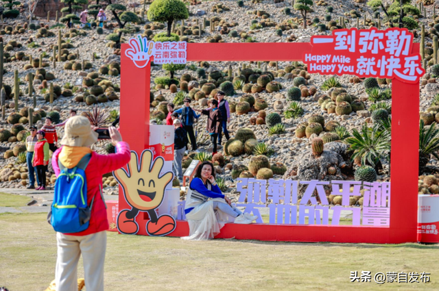 “漠”上花开，出片胜地等你来！丨有一种叫云南的生活之365天