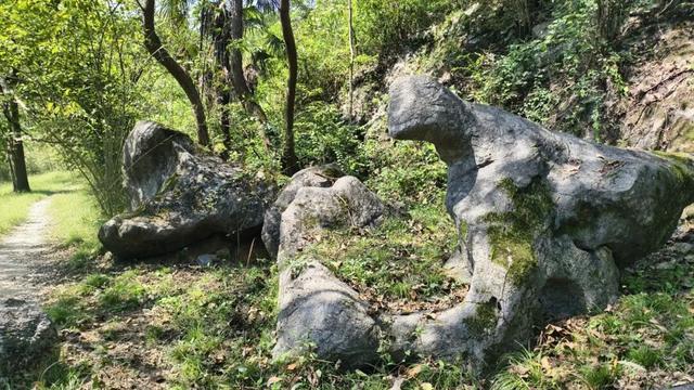 跟着“中国第一旅游博主”，打卡富阳万市古道！