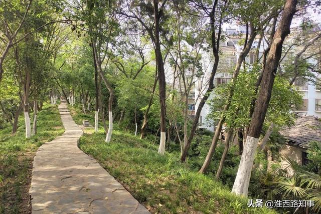 安徽合肥：西山景区，“山”在哪儿？