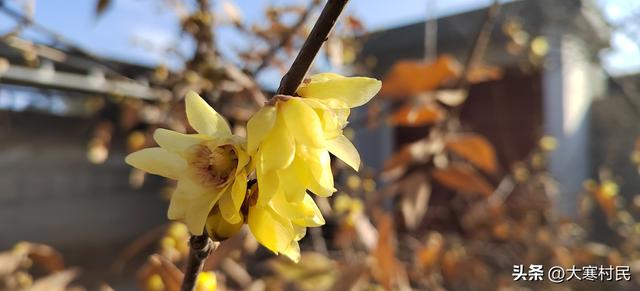 趁着火焰的放肆与热情