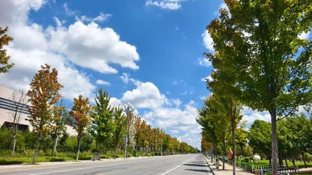大美泌阳系列之菌都公园：荷香逸韵 秋染园景