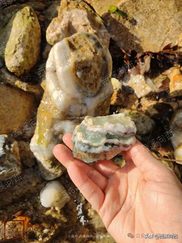 杭州玻璃水中找到“汉堡包”萤石水晶宝石，玩水变挖宝