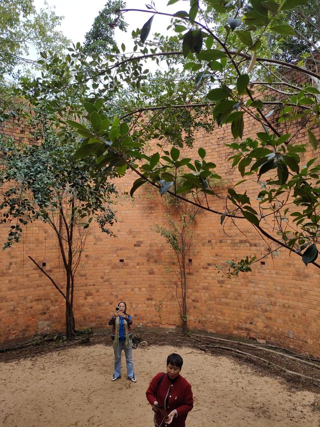 南宁新晋网红打卡地--新阳·石化里