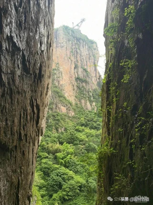 暑假倒计时！温州这几处好玩的地方你都去过了吗？