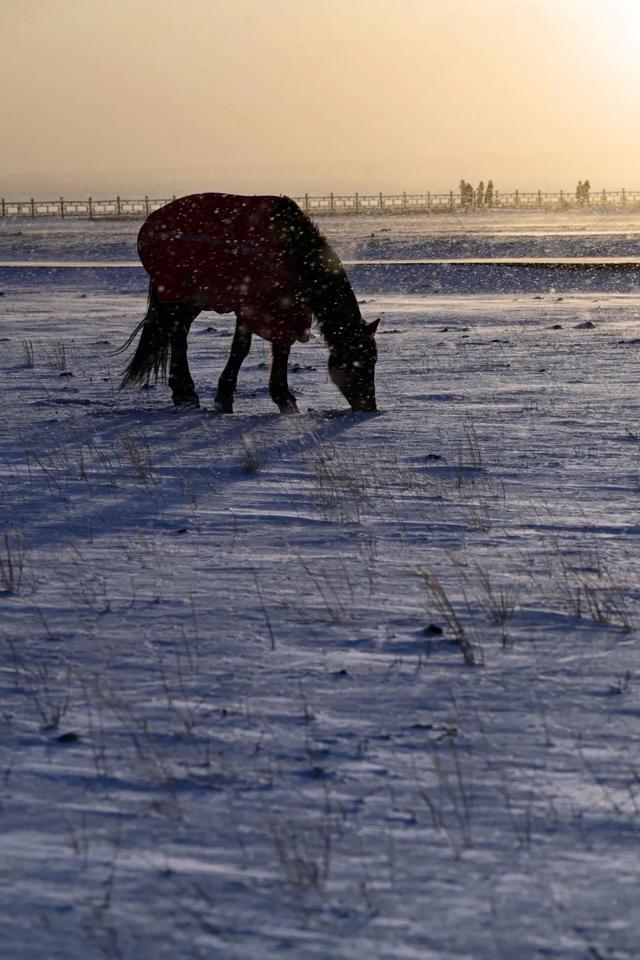 为了这道光，我做了一次疯狂的行动